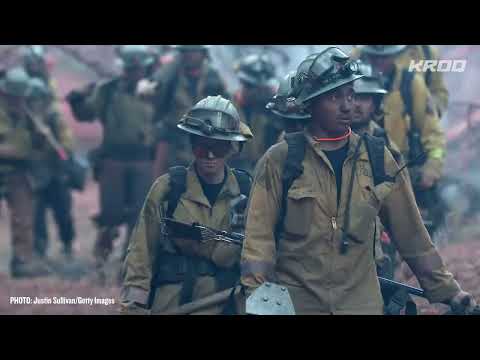 Green Day - Last Night on Earth (LA Edition)