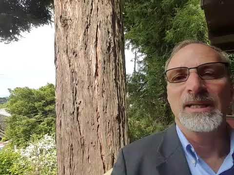 125 Fickle Hill, Arcata - New to the Market