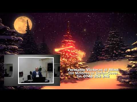 Victoras si Alina-Din Moldova lui Stefan-Cover