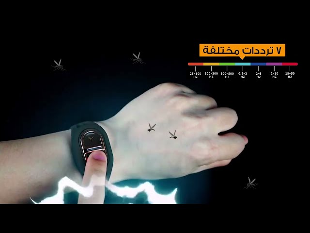 الحارس الشخصي - Body Gaurd