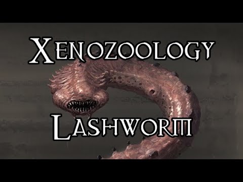 Xenozoology: Lashworm - 40K Theories