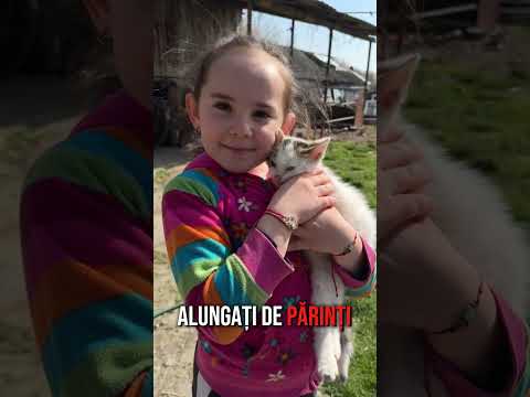 "Cat ma tin mainile si picioarele, fetele mele trebuie sa fie bine!" - Bogdan Silaghi