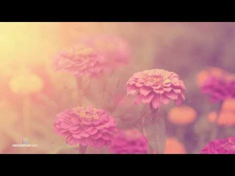 Beautiful Piano Music @432Hz ❯ Relaxing Music ❯ Beautiful Soft Soothing Music