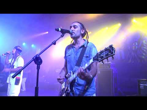 TRAIN TO ROOTS live @ Lion Stage 2018