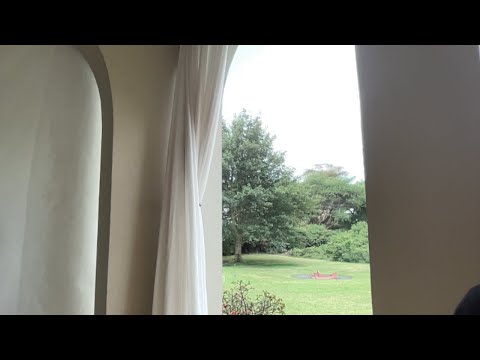 Frühstück mit Wolfgang (2)