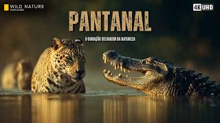 PANTANAL - O Coração Alagado da América do Sul | Documentário Completo 4K