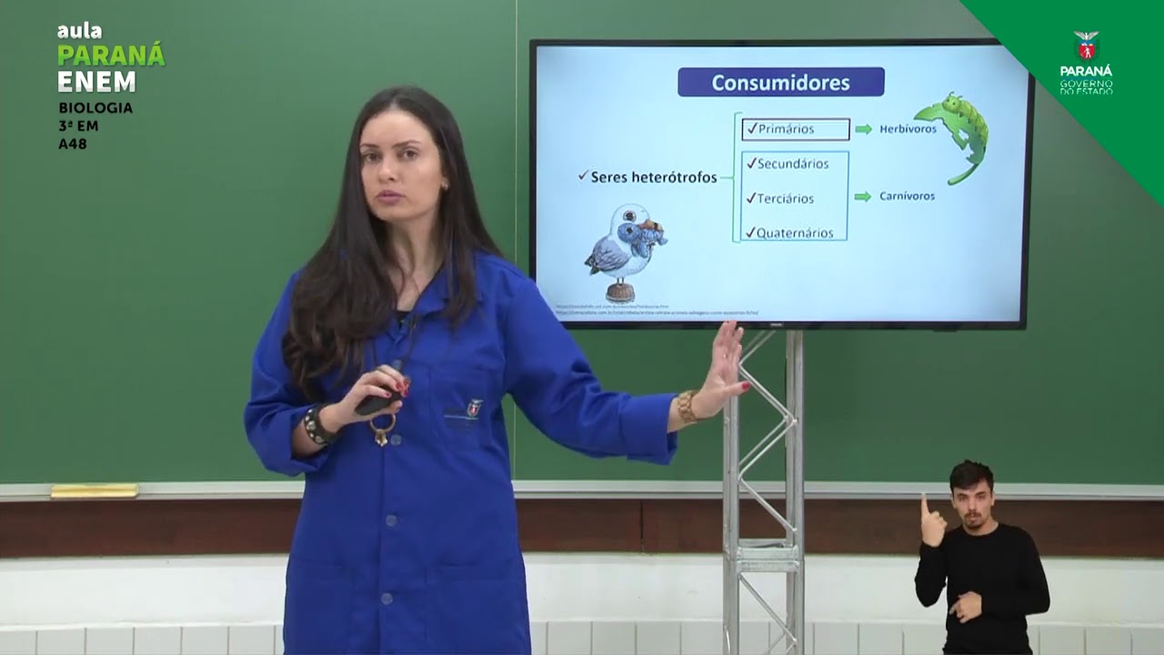 3ª Série | Biologia | Aula 48 - Ecologia: Cadeias e Teias Alimentares