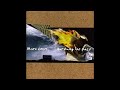 Marc Cohn ~ Already Home