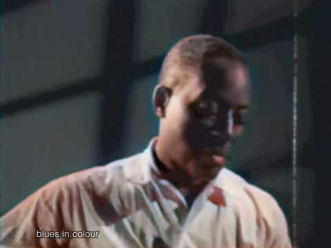 Big Bill Broonzy - Trouble In Mind live [Colourised] 1956