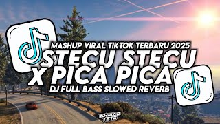 Download lagu DJ STECU STECU X PICA PICA SLOW VIRAL TIKTOK FULL SONG MAMAN FVNDY SLOWED REVERB 2025 !! mp3