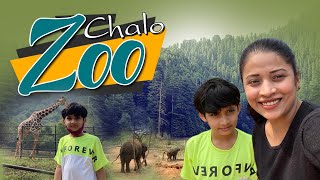 Happy time to Zoom in ZOO | Tiger | Lion| Elephant| Day out at Wild Animals|DIML| Vlog|