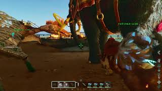[PS5]ARKASA拠点作る