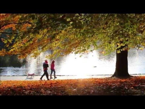 download lagu mp3 mp4 Autumnparadise Com, download lagu Autumnparadise Com gratis, unduh video klip Autumnparadise Com
