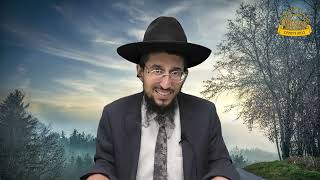 פרשה בדיוק | קריאת פרשת דברים עם הארות קצרות לקריאה נכונה