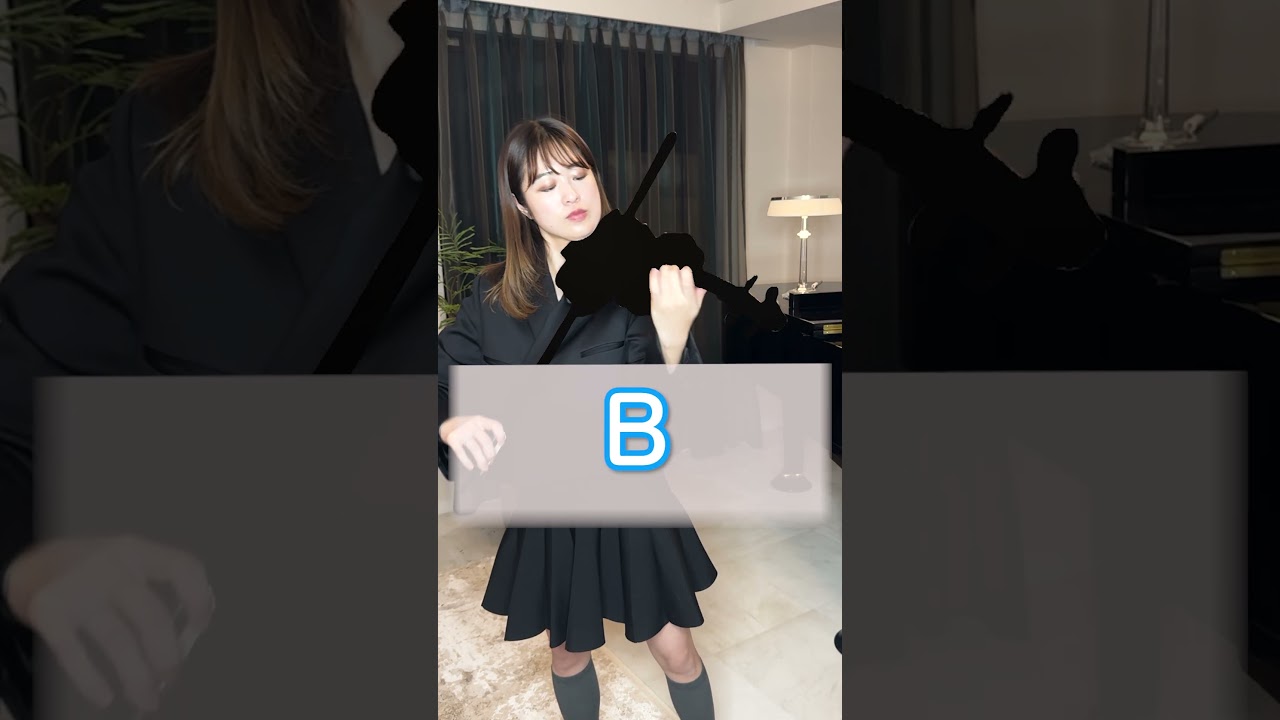【格付けチェック】あなたもわかる？高級バイオリンvs激安バイオリン【part1】#violin
