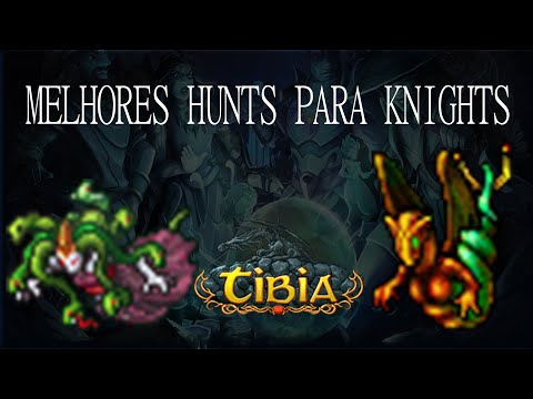 TIBIA EK HUNT SOLO 250+ 3KKXP E 650K+ PROFIT/H BANUTA -4