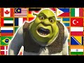 What Are You Doing In My Swamp In Different Languages Meme