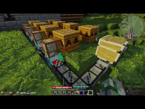 TerraFirmaPunk Let's Play SMP s1e23 - The Bags and the Bees