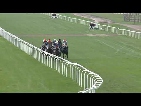 2020.11.01. 08. futam - SEPERATE OPINION DÍJ (II.kat.)