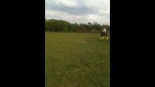 preview picture of video '- please watch me! - me jumping Jake in the cross country!:)'