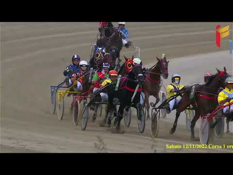 I Corsa del 12 novembre 2022 - Cat G - Abb. Allievi - Metri 2000/2020