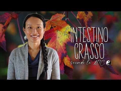 The Large Intestine According to Traditional Chinese Medicine ☯️ | Metal Element 🔗