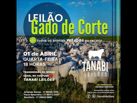 Tanabi Leilões - AO VIVO - 01/04/2026