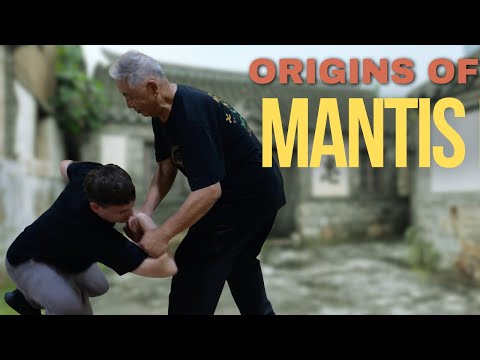 Origins of Seven Star Mantis - the amazing Qin Na of Zhong Lian Bao
