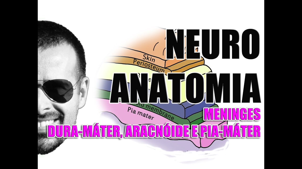 Meninges: Dura-máter, aracnóide e pia-máter - Sistema Nervoso/Neuroanatomia - Vídeo Aula 077