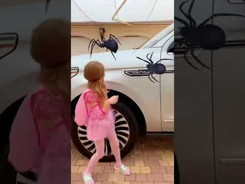 Nastya saves dad from spiders. spider
