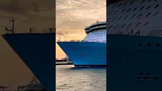 Oasis of the Seas 🛳️ #like #share #comment #subscribe #cruiseship #cruise #vacation #shorts #short