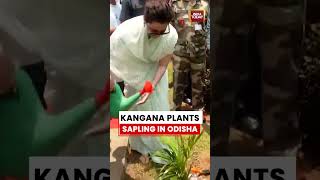 Download lagu Kangana Plants Sapling in Odisha on Environment Day, Sends Green Message #environment mp3