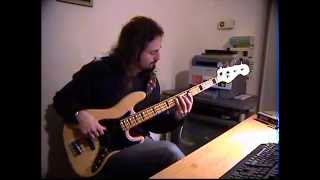 Down To The Bone - Gotta Get Back To You BASS COVER by FFKING