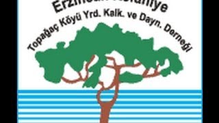 preview picture of video 'Erzincan Refahiye Topağaç (Siril) Köyü Gece Organizasyonu'