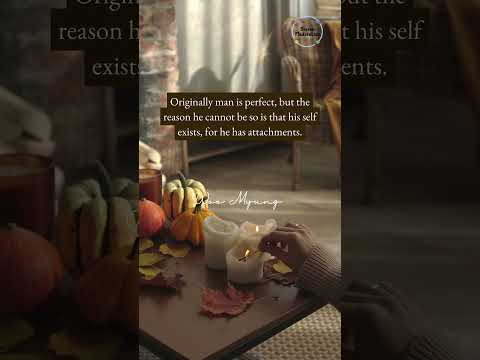 Bayside Meditation in Queens NYC  #meditation #meditationforbeginners  #quote #shorts #shortsvideo