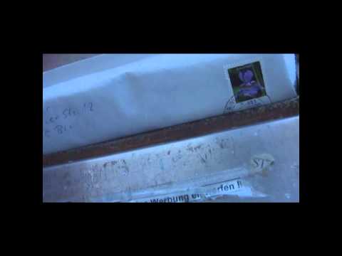 Zwene Bambene's Dragonforce