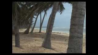 preview picture of video 'Praia Bávaro - Punta Cana - República Dominicana'