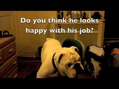 Do You 'HATE' Your Desk Job as Much as Mr. Albus?????