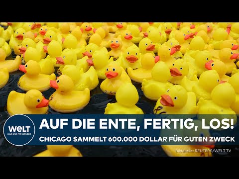 Video Thumbnail: ENTENRENNEN: Chicago Duck Derby verwandelt Fluss in gelben Gummi-Teppich