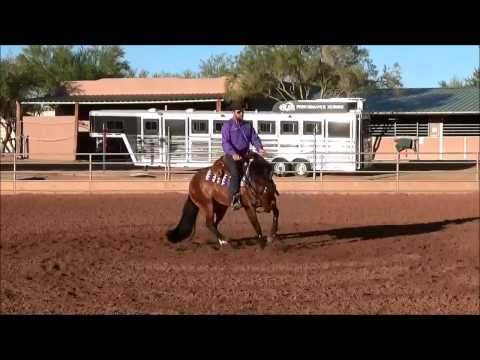 Stylish Cocktail - Hip# 2028