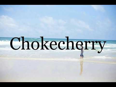 How To Pronounce Chokecherry🌈🌈🌈🌈🌈🌈Pronunciation Of Chokecherry