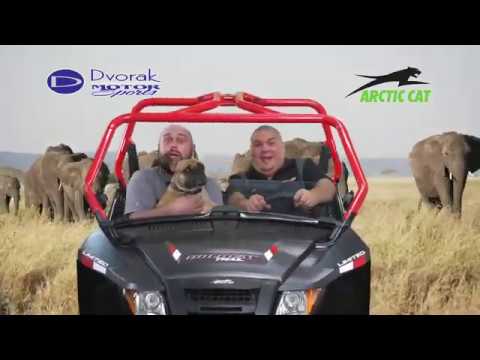 New 2021 Arctic Cat Wildcat XX | Utility Vehicles in Bismarck ND