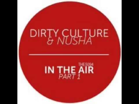 Dirty Culture & Nusha - Have No Fear On Perfection  [TheSounds]