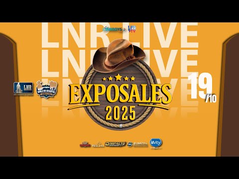 ExpoSales - 19/10