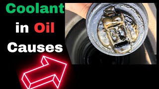 Coolant Mixed with Oil: Causes &amp; How to Fix