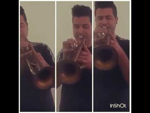 Luis Fonsi - Despacito ft. Daddy Yankee  (cover - trumpet)