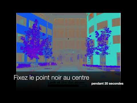 👀Illusion d'optique : en couleur ou en noir et blanc ?