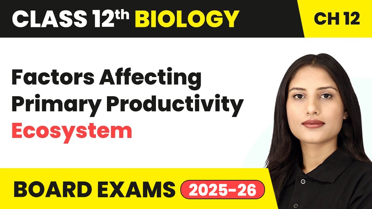 Factors Affecting Primary Productivity - Ecosystem | Class 12 Biology Chapter 12 | CBSE 2024-25