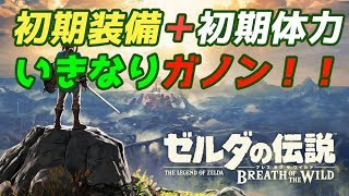 #最終回【ゼルダの伝説botW】ゲーム開始直後ガノン討伐するよなぁ！？【初見歓迎】【bleathofthewild】