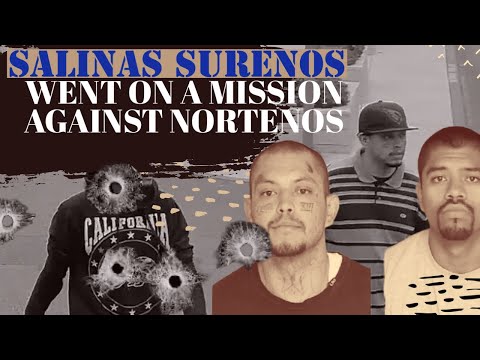 SURENO GANG MEMBERS WENT ON A 💥💥💥SPREE ON NORTENOS #new #crimestory #trending #viralvideo #559